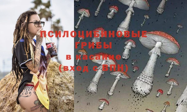 прущий лед Арсеньев