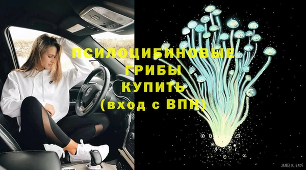 прущий лед Арсеньев