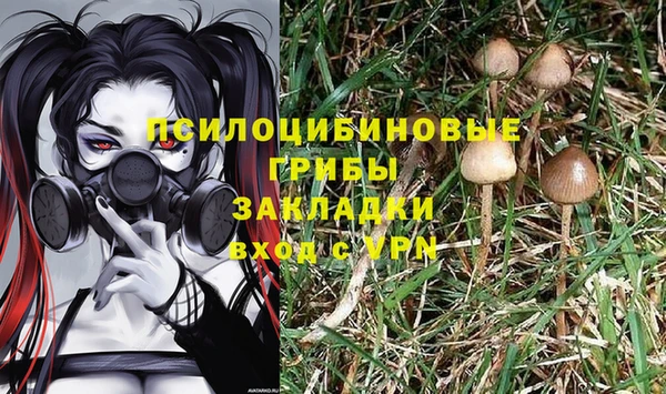 ECSTASY Аркадак